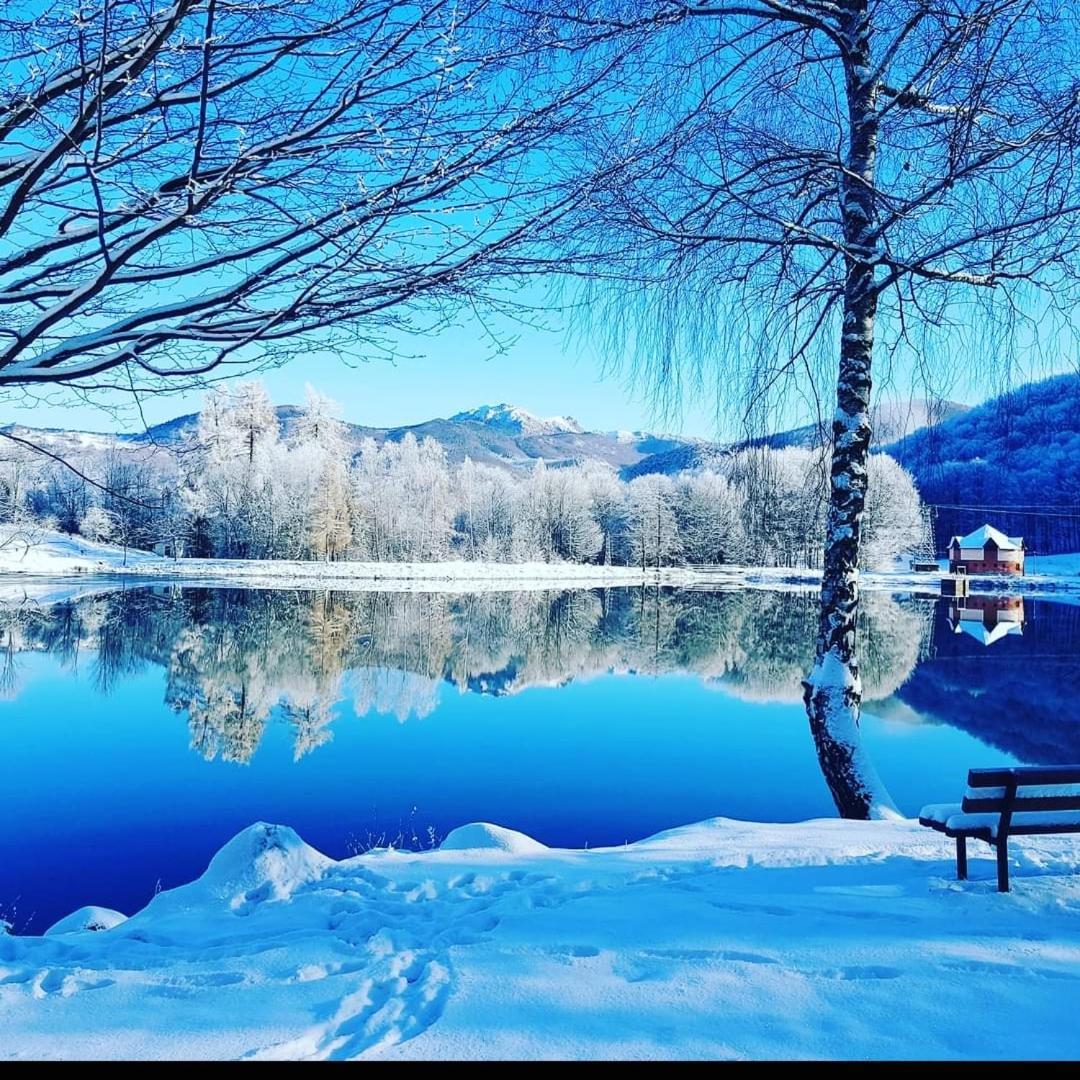 Cabana Berner Statiunea Mogosa ไบอา-สปรี ภายนอก รูปภาพ