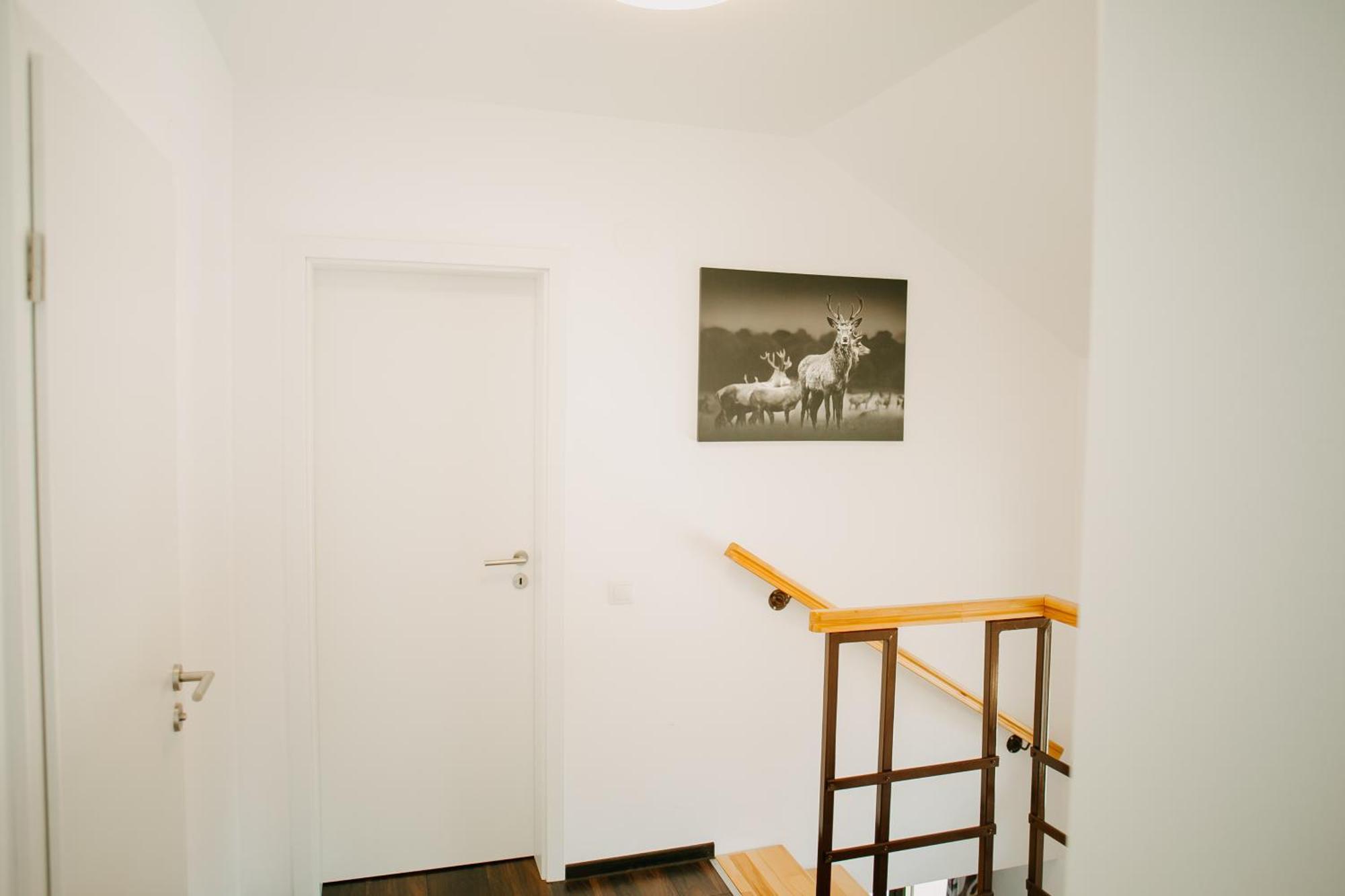 Cabana Berner Statiunea Mogosa ไบอา-สปรี ภายนอก รูปภาพ