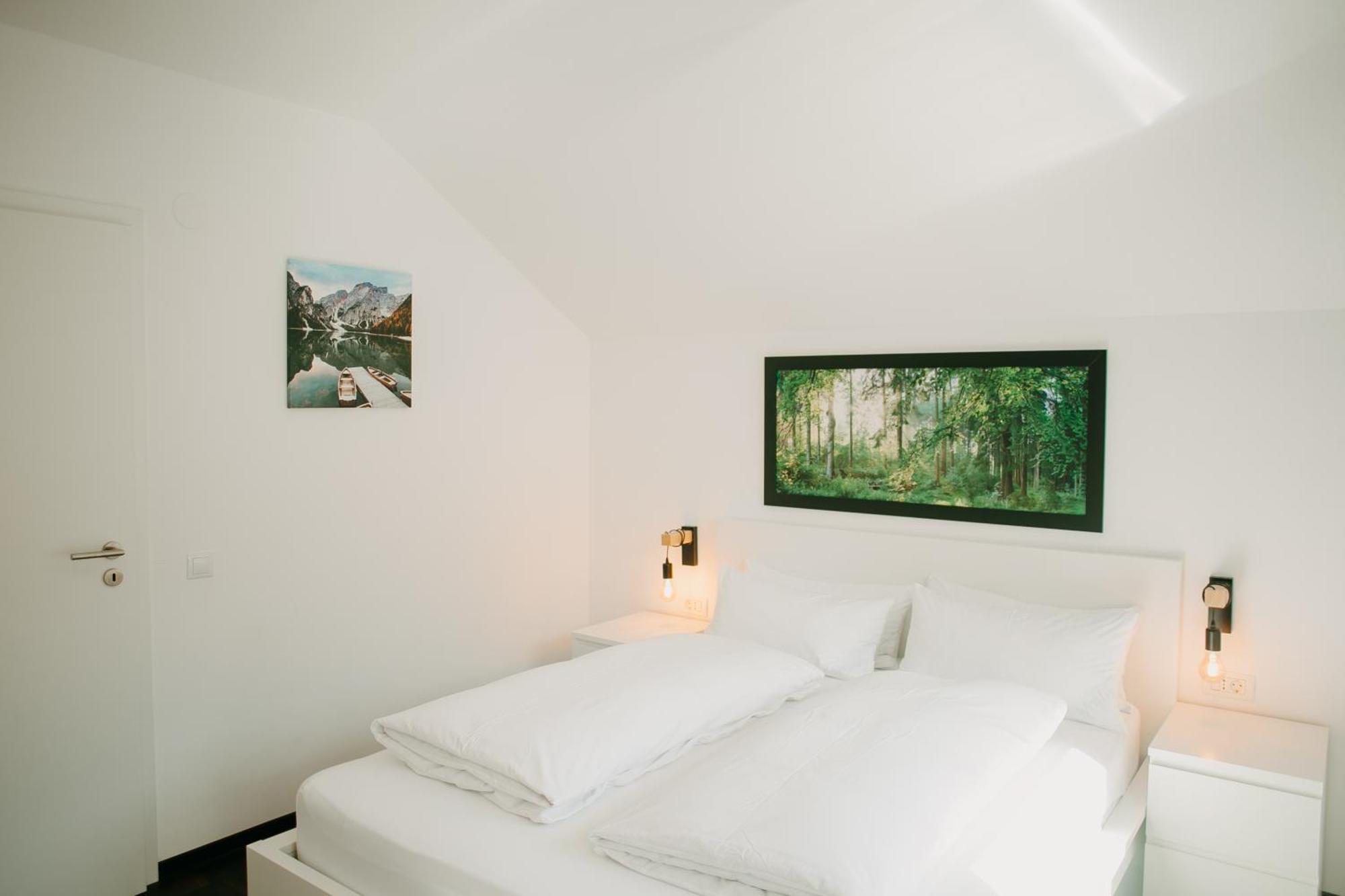 Cabana Berner Statiunea Mogosa ไบอา-สปรี ภายนอก รูปภาพ